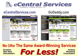 eCentralServices.com - powered by TechWeb Solutions, Inc.